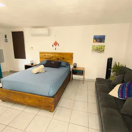 Comfy Studio Yaxkin On Downtown, 3 Block Away From Sea And Sunsets