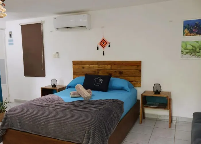 Comfy Yaxkin On Downtown, 3 Block Away From Sea And Sunsets
