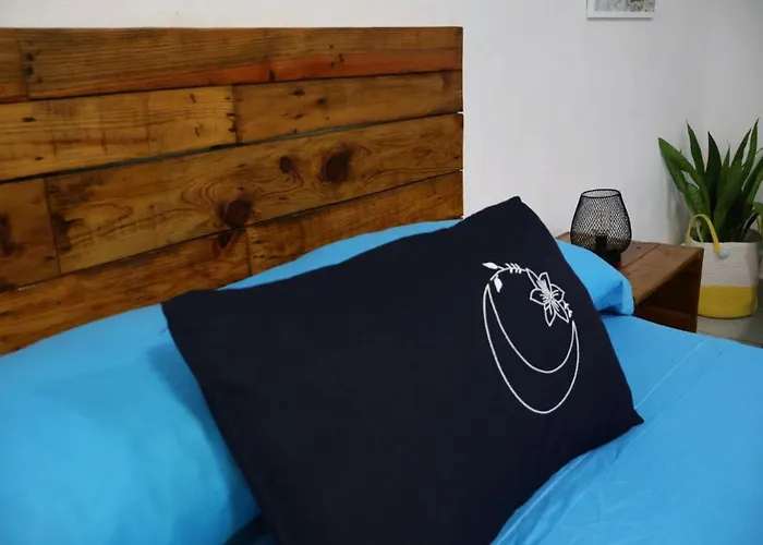 Comfy Yaxkin On Downtown, 3 Block Away From Sea And Sunsets *