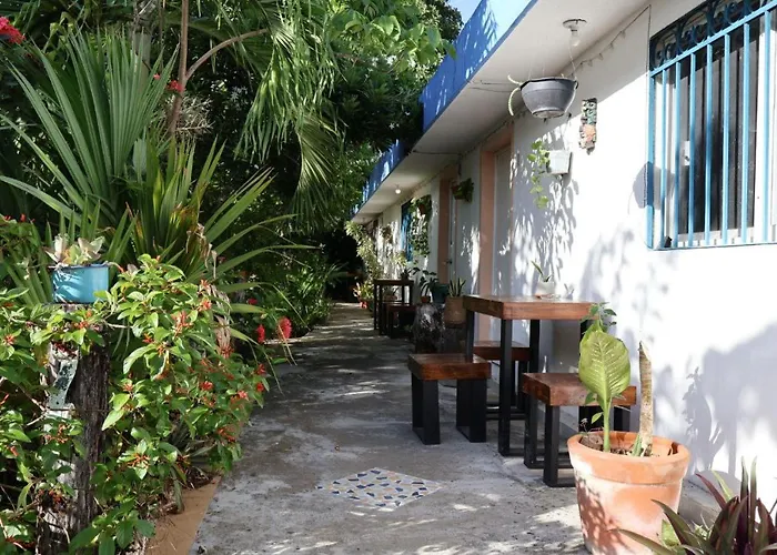 Apartment Comfy Yaxkin On Downtown, 3 Block Away From Sea And Sunsets Cozumel