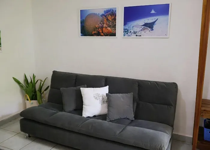 Apartment Comfy Yaxkin On Downtown, 3 Block Away From Sea And Sunsets Cozumel