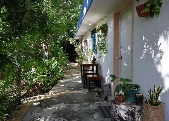 Apartment Comfy Yaxkin On Downtown, 3 Block Away From Sea And Sunsets *