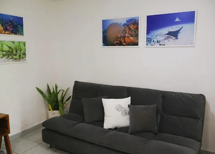 Apartment Comfy Yaxkin On Downtown, 3 Block Away From Sea And Sunsets *