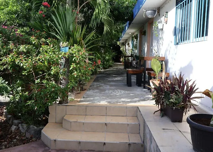Comfy Yaxkin On Downtown, 3 Block Away From Sea And Sunsets Apartment Cozumel