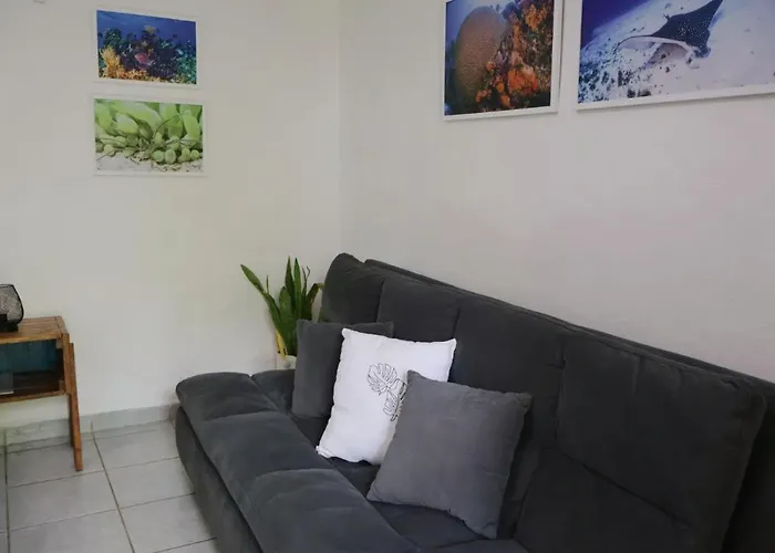 Apartment Comfy Yaxkin On Downtown, 3 Block Away From Sea And Sunsets